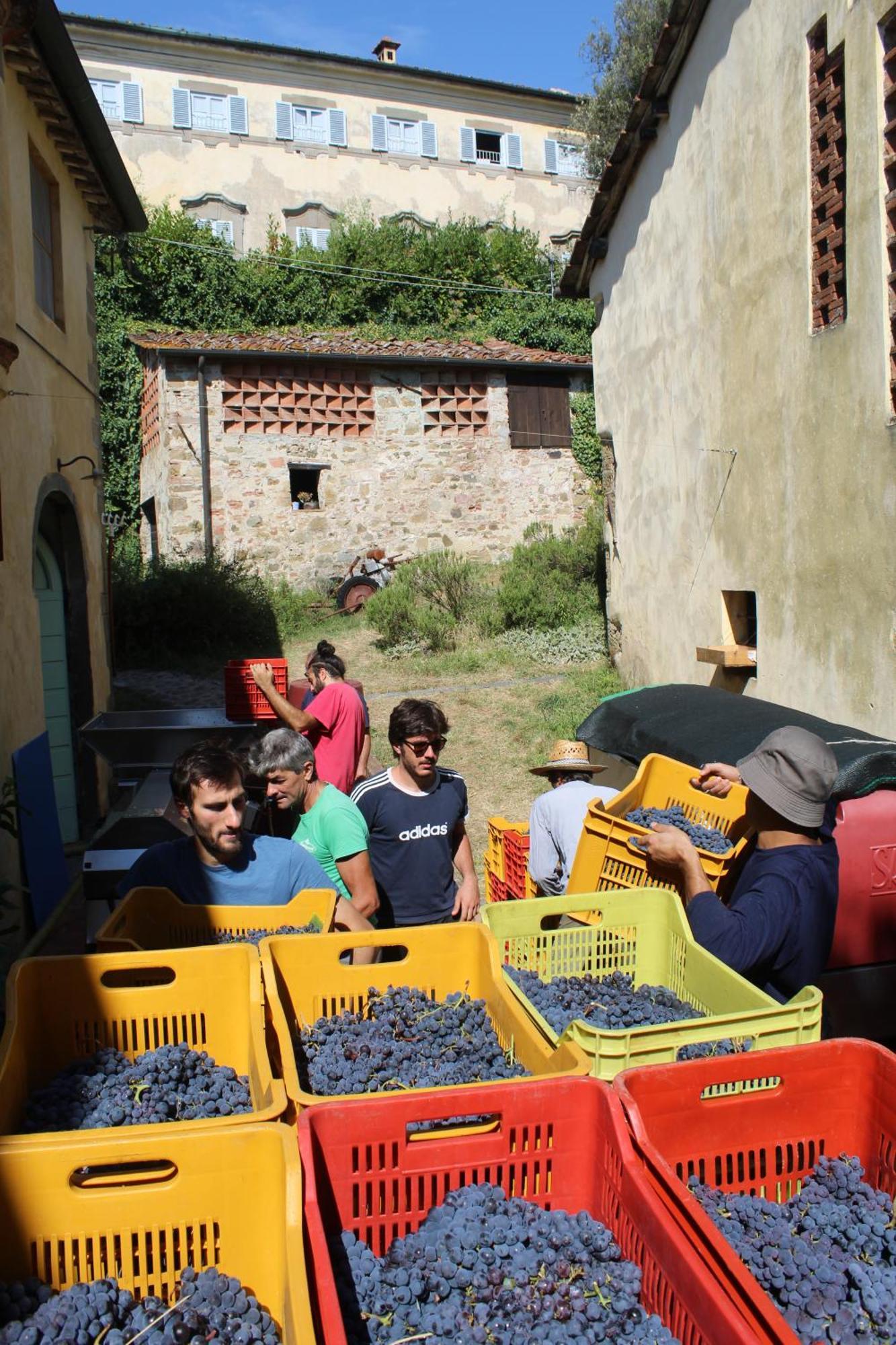 Landhuis Azienda Agricola Fabbrica Di San Martino