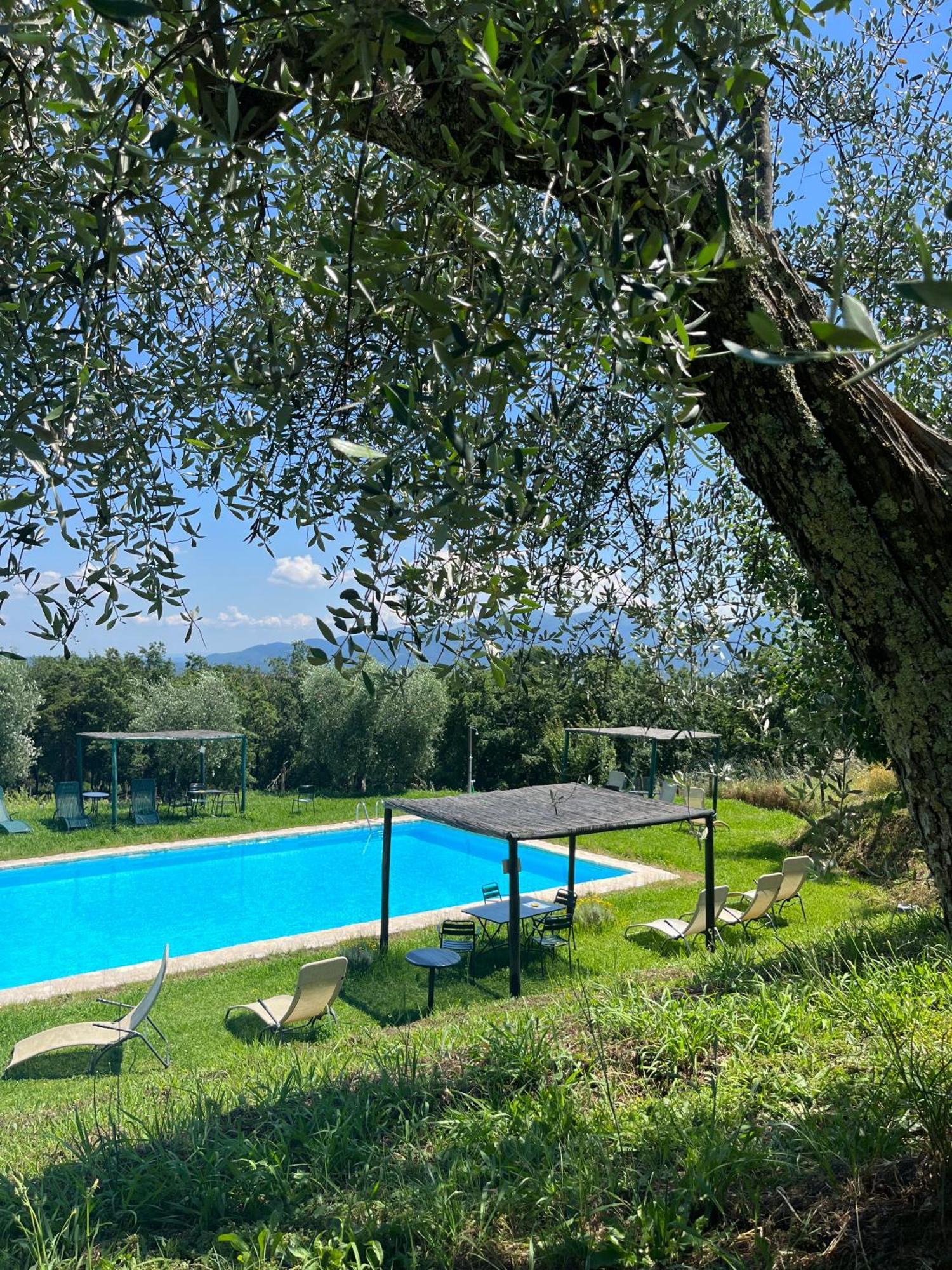 Azienda Agricola Fabbrica Di San Martino Lucca